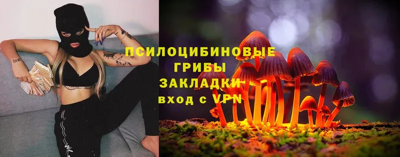 Галлюциногенные грибы Magic Shrooms  Новомосковск 